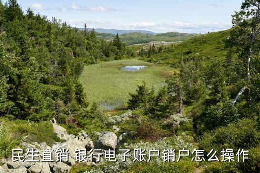 民生直銷(xiāo) 銀行電子賬戶銷(xiāo)戶怎么操作