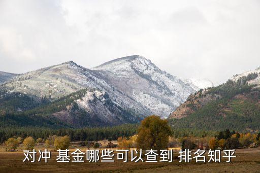 對沖 基金哪些可以查到 排名知乎