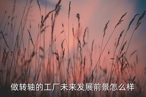 做轉軸的工廠未來發(fā)展前景怎么樣