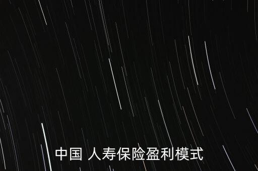 中國 人壽保險(xiǎn)盈利模式