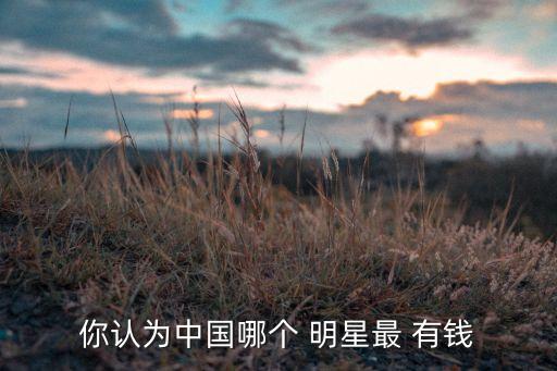 你認(rèn)為中國(guó)哪個(gè) 明星最 有錢(qián)