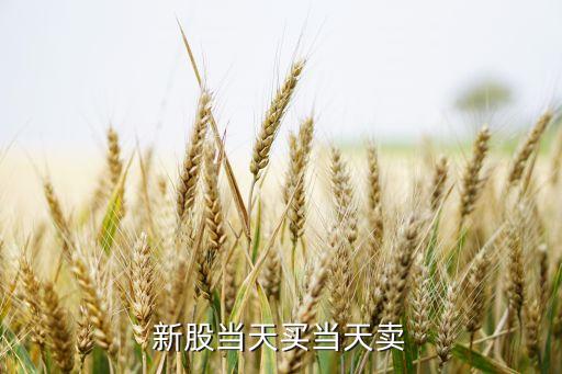 股票剛買(mǎi)入后就設(shè)賣(mài)出價(jià)格行嗎