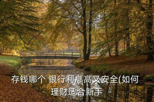 存錢(qián)哪個(gè) 銀行利息高又安全(如何 理財(cái)適合新手