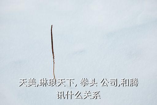 天美,琳瑯天下, 拳頭 公司,和騰訊什么關系