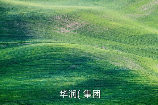 華潤集團(tuán)現(xiàn)任董事長,正部級(jí)央企只有四家名單