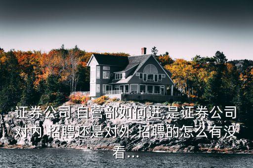 證券公司 自營(yíng)部如何進(jìn),是證券公司對(duì)內(nèi) 招聘還是對(duì)外 招聘的怎么有沒(méi)看...