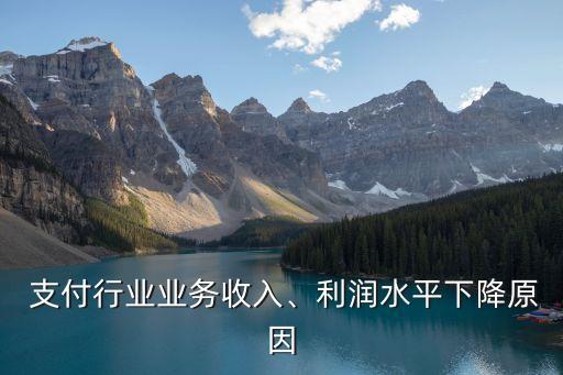  支付行業(yè)業(yè)務(wù)收入、利潤(rùn)水平下降原因