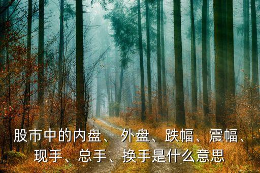 股市中的內(nèi)盤、 外盤、跌幅、震幅、現(xiàn)手、總手、換手是什么意思