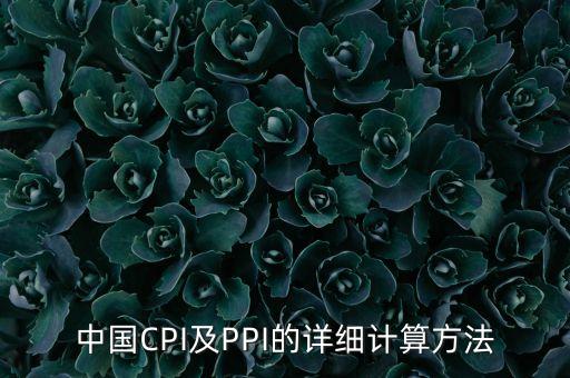 中國CPI及PPI的詳細(xì)計算方法