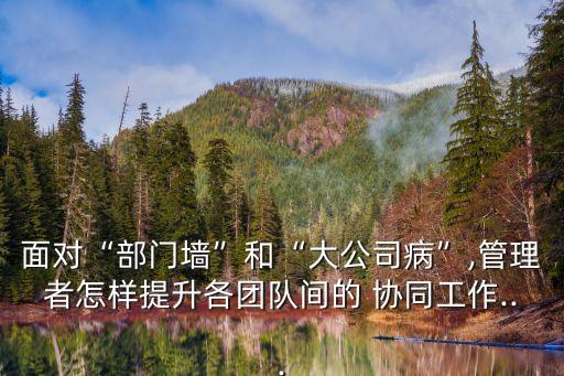 面對(duì)“部門墻”和“大公司病”,管理者怎樣提升各團(tuán)隊(duì)間的 協(xié)同工作...