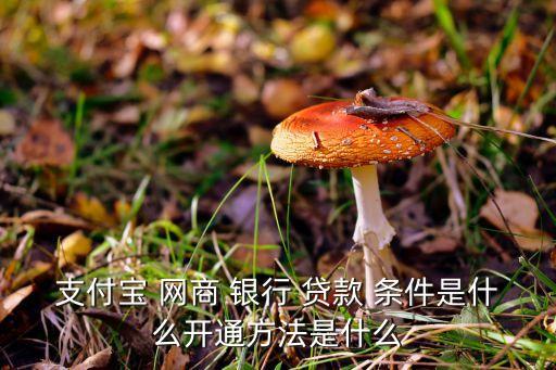 支付寶 網(wǎng)商 銀行 貸款 條件是什么開(kāi)通方法是什么