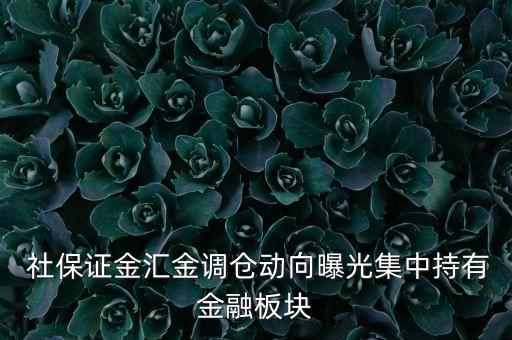  社保證金匯金調(diào)倉動(dòng)向曝光集中持有金融板塊