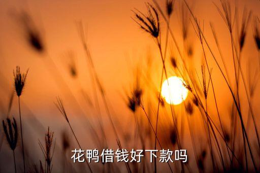 花鴨借錢(qián)好下款嗎