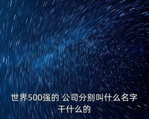 世界500強的 公司分別叫什么名字干什么的