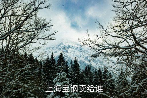 上海鋼聯(lián)競(jìng)爭(zhēng)對(duì)手,聯(lián)泓新科競(jìng)爭(zhēng)對(duì)手