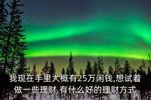 我現(xiàn)在手里大概有25萬(wàn)閑錢,想試著做一些理財(cái),有什么好的理財(cái)方式