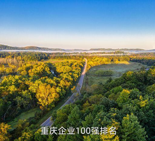 重慶鈺鑫實業(yè)集團(tuán)有限責(zé)任公司