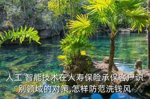 人工 智能技術(shù)在人壽保險(xiǎn)承保客戶(hù)識(shí)別領(lǐng)域的對(duì)策,怎樣防范洗錢(qián)風(fēng)