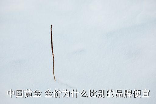 中國黃金 金價(jià)為什么比別的品牌便宜