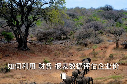 如何利用 財(cái)務(wù) 報(bào)表數(shù)據(jù)評估企業(yè)價(jià)值