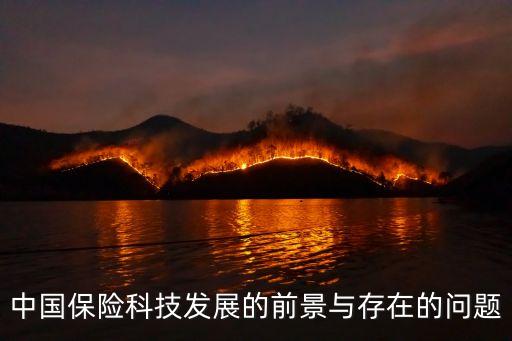 中國(guó)保險(xiǎn)科技發(fā)展的前景與存在的問(wèn)題