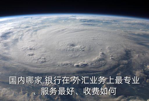 國內(nèi)哪家 銀行在 外匯業(yè)務(wù)上最專業(yè)、服務(wù)最好、收費如何