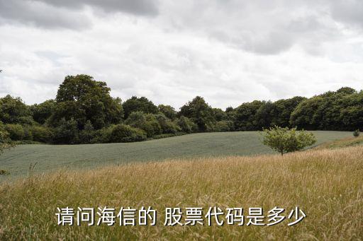 請(qǐng)問海信的 股票代碼是多少
