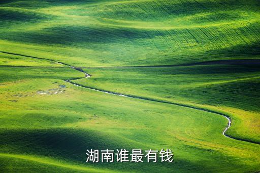 湖南誰(shuí)最有錢