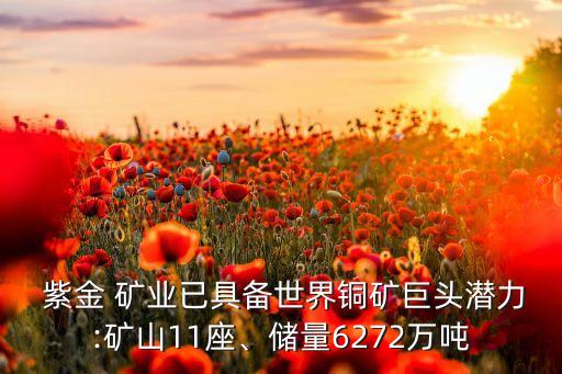  紫金 礦業(yè)已具備世界銅礦巨頭潛力:礦山11座、儲量6272萬噸
