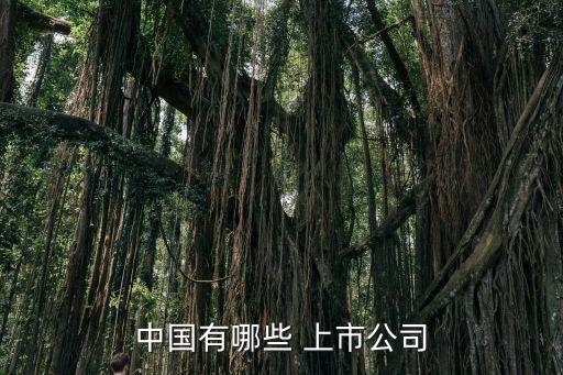 中國有哪些 上市公司