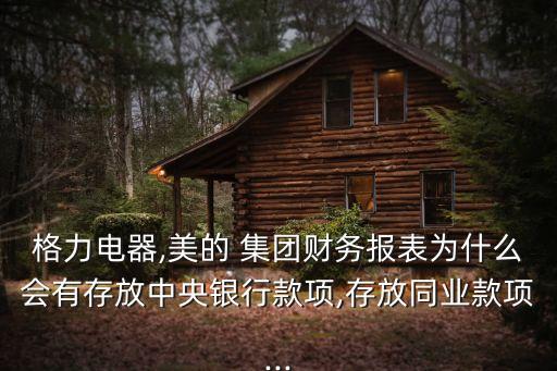 美的集團(tuán)會計(jì)管理