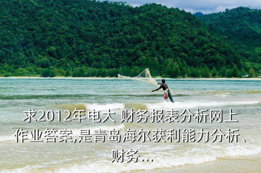 求2012年電大 財(cái)務(wù)報(bào)表分析網(wǎng)上作業(yè)答案,是青島海爾獲利能力分析、 財(cái)務(wù)...