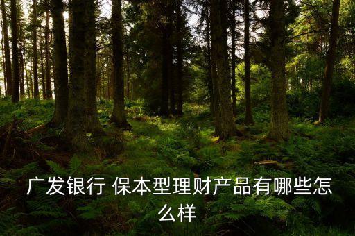  廣發(fā)銀行 保本型理財(cái)產(chǎn)品有哪些怎么樣