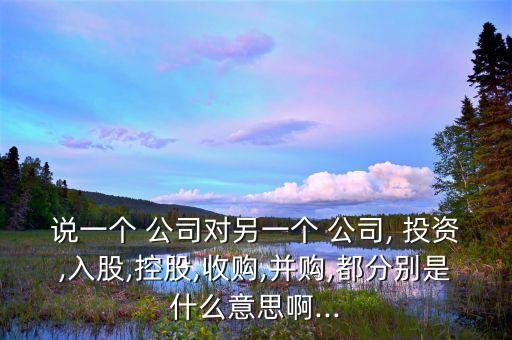 說一個(gè) 公司對(duì)另一個(gè) 公司, 投資,入股,控股,收購,并購,都分別是什么意思啊...
