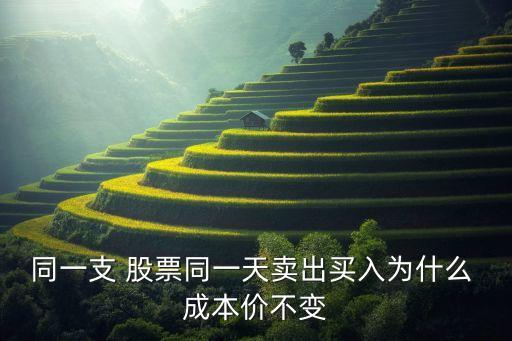 同一支 股票同一天賣(mài)出買(mǎi)入為什么 成本價(jià)不變