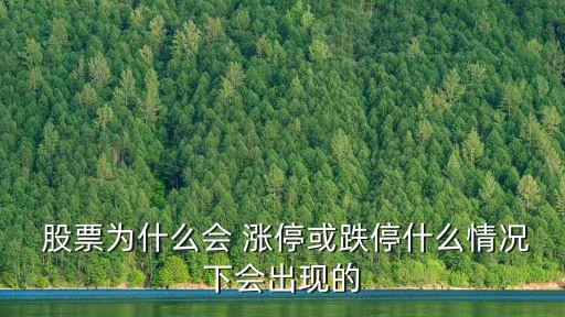  股票為什么會(huì) 漲?；虻Ｊ裁辞闆r下會(huì)出現(xiàn)的