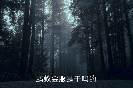 螞蟻金服是干嗎的