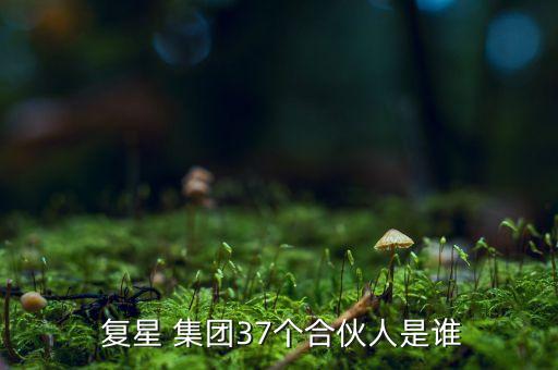  復(fù)星 集團(tuán)37個合伙人是誰