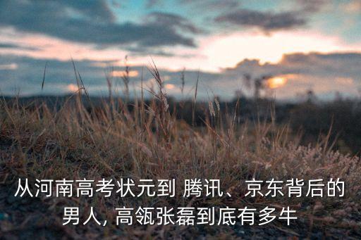 從河南高考狀元到 騰訊、京東背后的男人, 高瓴張磊到底有多牛