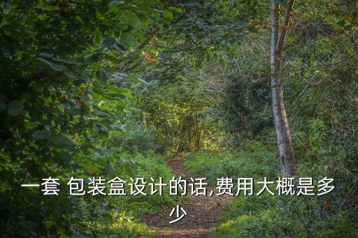 一套 包裝盒設(shè)計(jì)的話(huà),費(fèi)用大概是多少