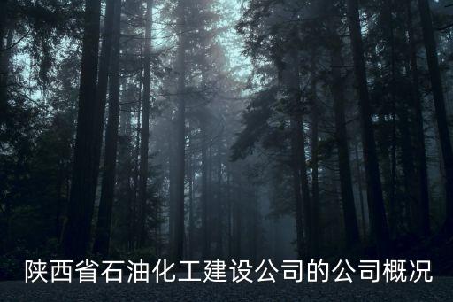 陜西省石化產業(yè)集團是國企嗎
