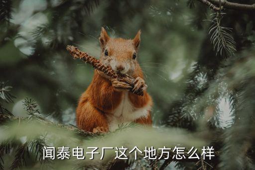 聞泰集團張學(xué)政,聞泰張學(xué)政為什么躲到美國