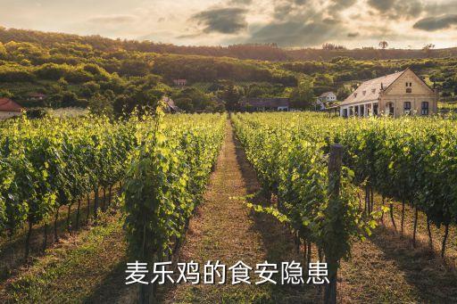 麥當(dāng)勞肯德基上海福喜,上?；疖囌居宣湲?dāng)勞或肯德基嗎