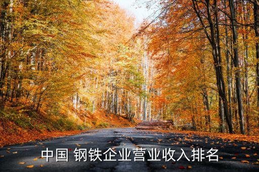 河北鋼鐵集團(tuán)盈利,河北前進(jìn)鋼鐵集團(tuán)有限公司