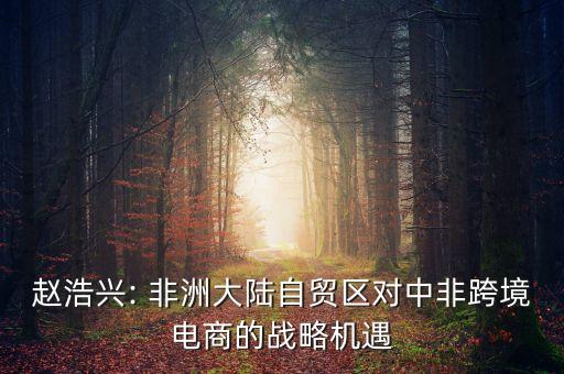 趙浩興: 非洲大陸自貿(mào)區(qū)對中非跨境電商的戰(zhàn)略機遇