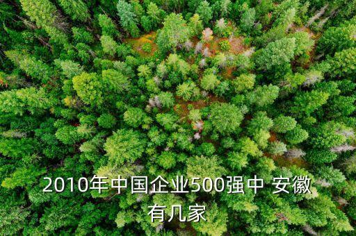 2010年中國企業(yè)500強(qiáng)中 安徽有幾家