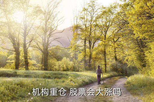 機(jī)構(gòu)重倉 股票會大漲嗎