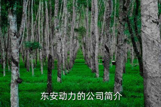  東安動(dòng)力的公司簡(jiǎn)介