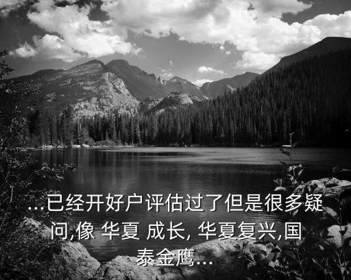 ...已經開好戶評估過了但是很多疑問,像 華夏 成長, 華夏復興,國泰金鷹...