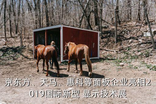 京東方、天馬、惠科等面板企業(yè)亮相2019國(guó)際新型 顯示技術(shù)展